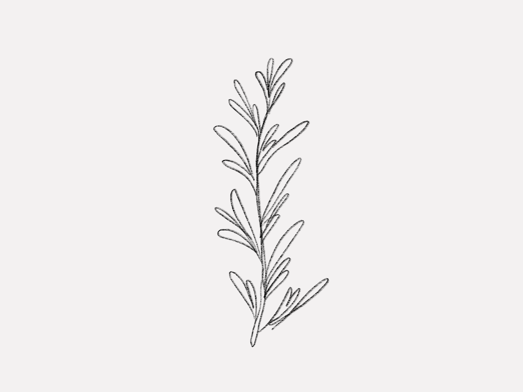 Rosemary Essential Oil 101 Vitruvi