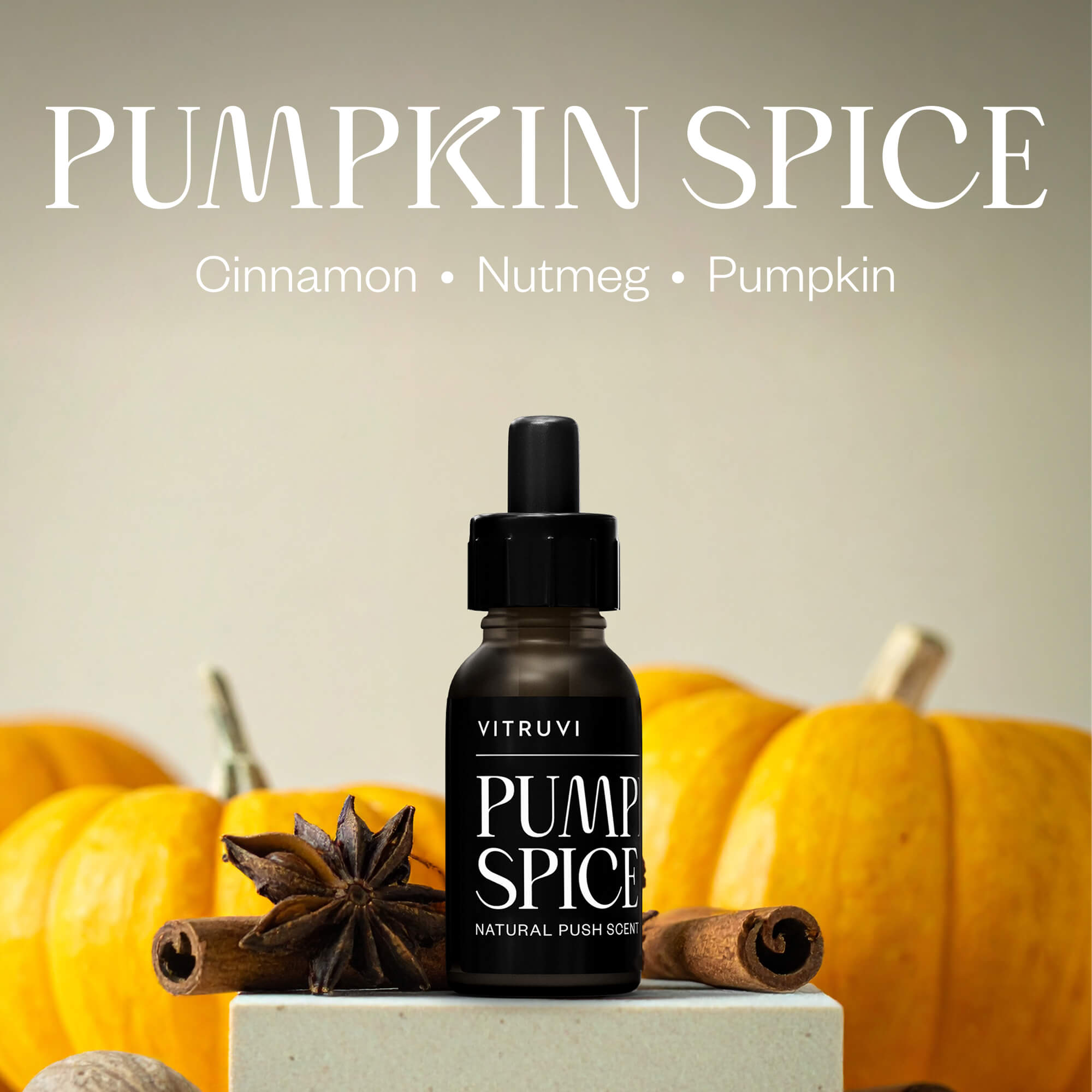 Pumpkin Spice Push Scent Refill