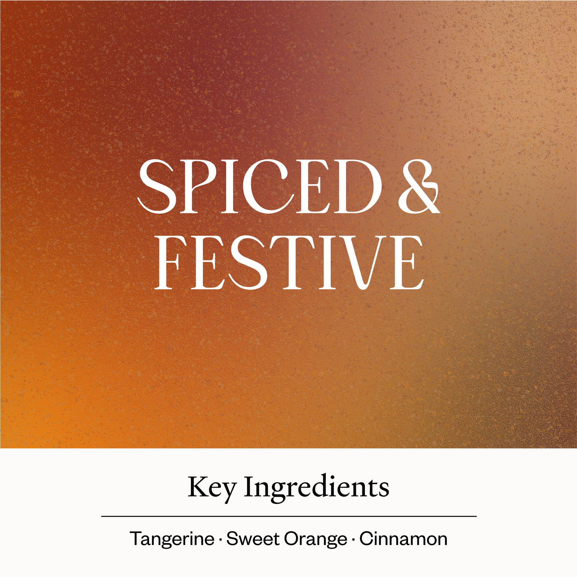 Sugar & Spice Diffuser Blend