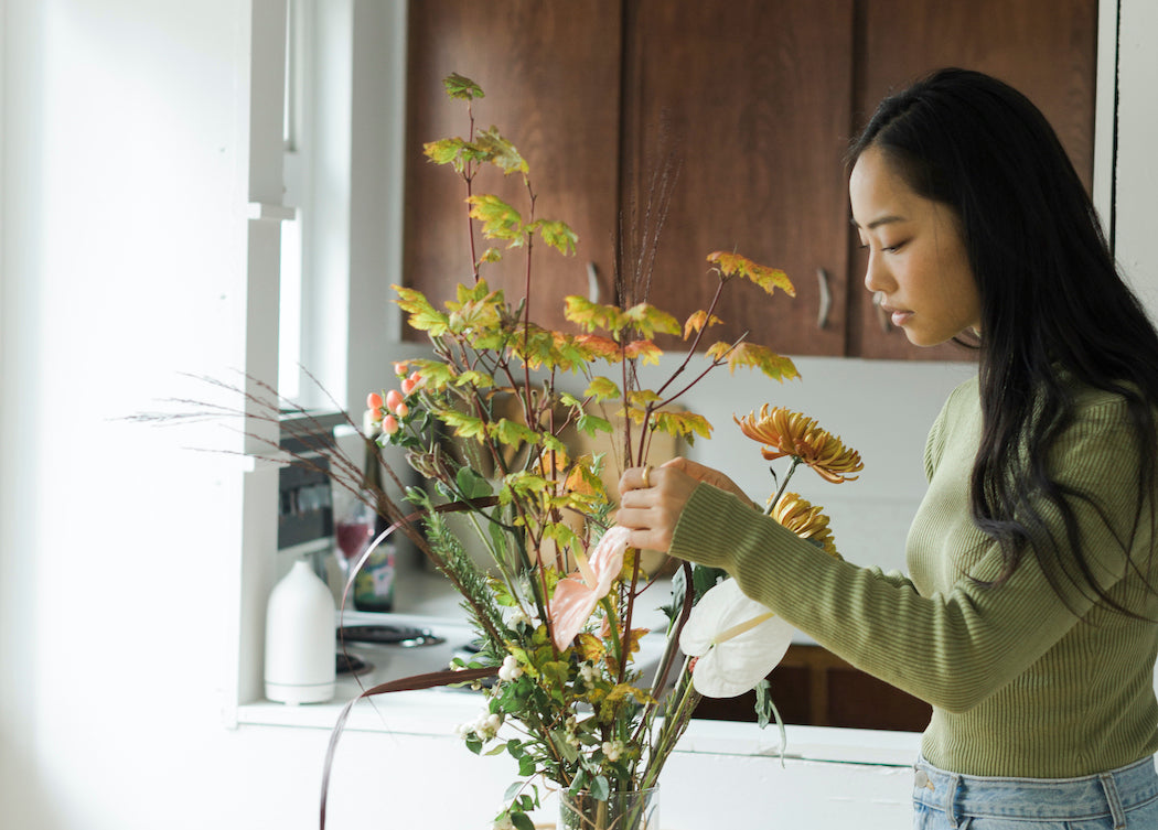 Plant Insect Repellent Spray