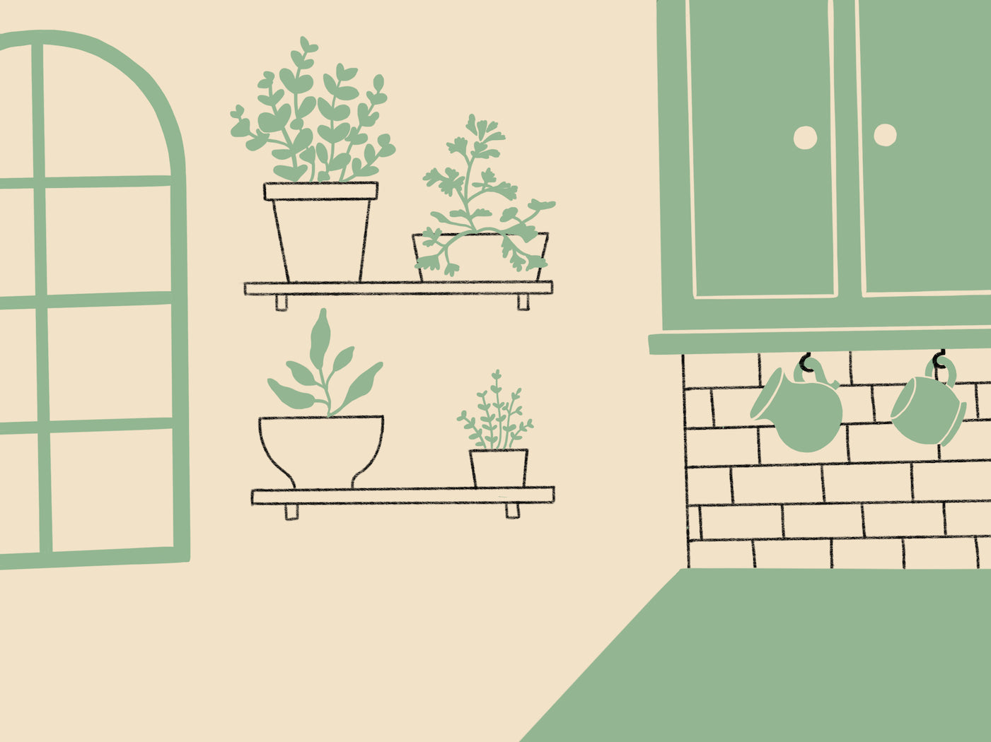 How to Grow Herbs Indoors