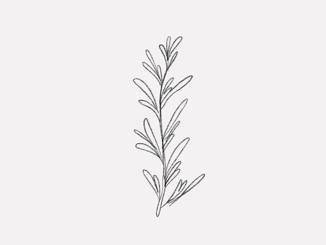 Rosemary Essential Oil 101