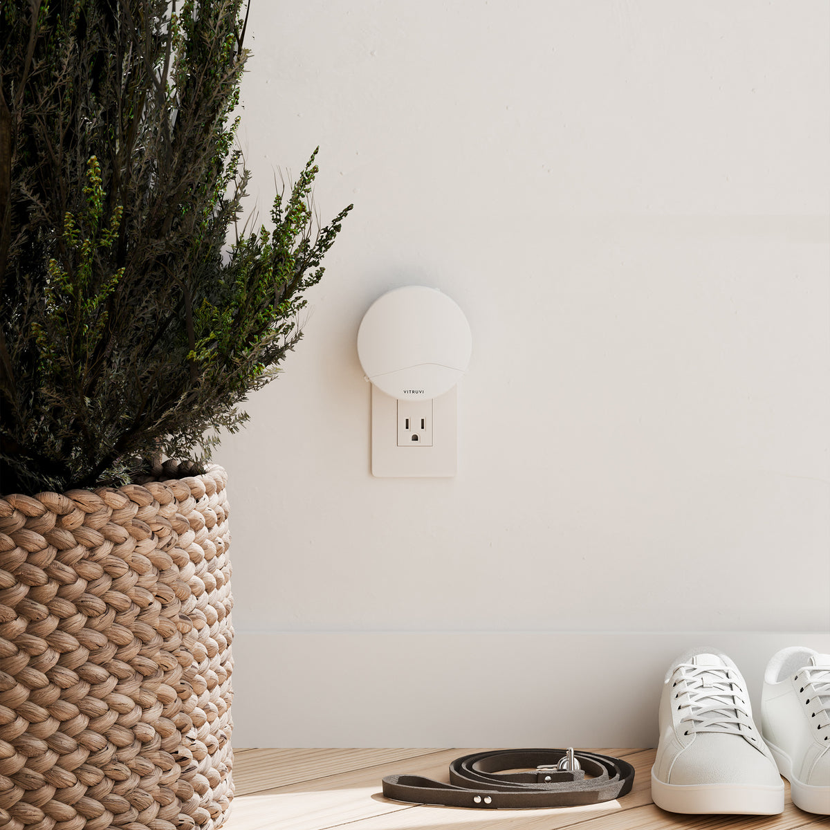 Wall Diffuser Unit Push Plug-In Wall Diffuser – Vitruvi